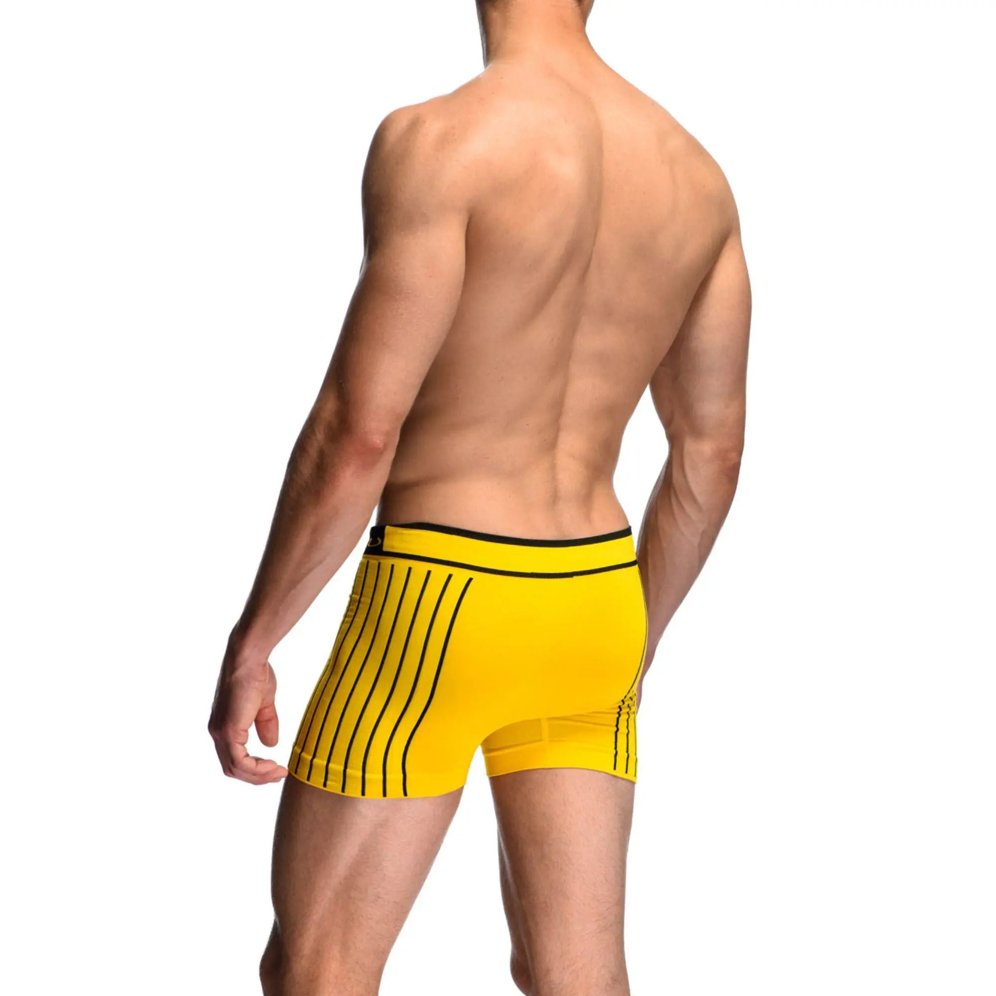 Boxer av rayures verticales