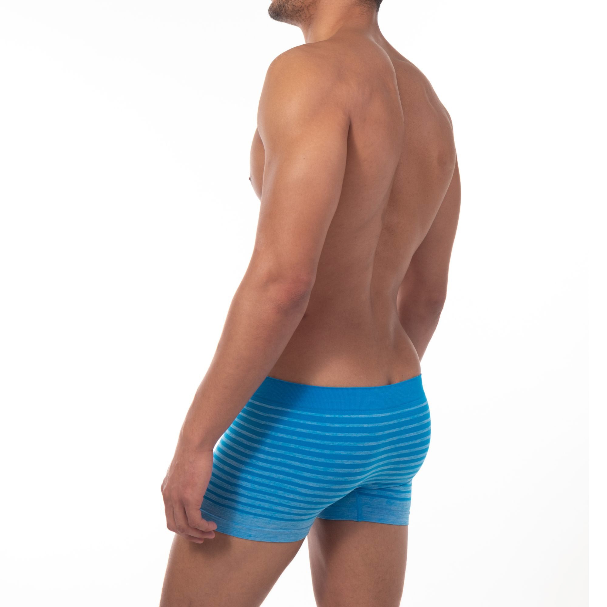 Stripe Heather Trunk